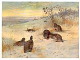 Close of a Winter's Day by Archibald Thorburn